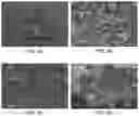Fig. 06 - COLLOIDAL PLANT POWDER/EXTRACT ENCAPSULATION WITH PECTIN-PROTEIN COACERVATE GELS