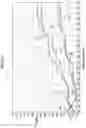Fig. 06 - LEG GARMENT