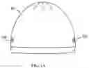 Fig. 02 - INFANT HATS AND CURTAINS WITH NOVEL SECURING COMPONENTS