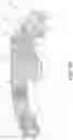 Fig. 02 - Adjustable foot support systems including fluid-filled bladder chambers