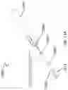 Fig. 17 - Personal cleansing wand