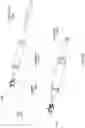 Fig. 22 - Personal cleansing wand