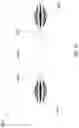 Fig. 26 - Personal cleansing wand