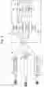 Fig. 02 - TOOTHBRUSH MOTION ANALYSIS