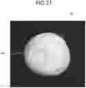 Fig. 22 - Foam discharge container