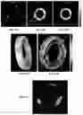 Fig. 12 - Systems and methods for performing frequency-domain photoacoustic imaging