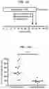 Fig. 02 - Reversal of General Anesthesia by Administration of Methylphenidate, Amphetamine, Modafinil, Amantadine, and/or Caffeine