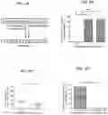 Fig. 03 - Reversal of General Anesthesia by Administration of Methylphenidate, Amphetamine, Modafinil, Amantadine, and/or Caffeine
