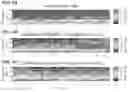 Fig. 05 - Reversal of General Anesthesia by Administration of Methylphenidate, Amphetamine, Modafinil, Amantadine, and/or Caffeine