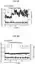 Fig. 07 - Reversal of General Anesthesia by Administration of Methylphenidate, Amphetamine, Modafinil, Amantadine, and/or Caffeine