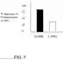 Fig. 08 - Reversal of General Anesthesia by Administration of Methylphenidate, Amphetamine, Modafinil, Amantadine, and/or Caffeine