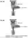 Fig. 09 - Systems and methods for optogenetic imaging