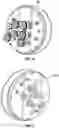 Fig. 09 - Carousel for automatic drug compounder