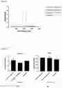 Fig. 07 - ANTIMICROBIAL AZO COMPOUNDS AND USES THEREOF