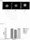 Fig. 10 - ANTIMICROBIAL AZO COMPOUNDS AND USES THEREOF