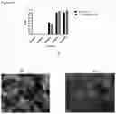 Fig. 12 - ANTIMICROBIAL AZO COMPOUNDS AND USES THEREOF