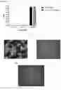Fig. 15 - ANTIMICROBIAL AZO COMPOUNDS AND USES THEREOF