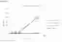 Fig. 19 - ANTIMICROBIAL AZO COMPOUNDS AND USES THEREOF