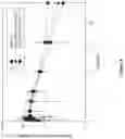 Fig. 05 - AMORPHOUS SOLID DISPERSIONS OF DASATINIB AND USES THEREOF
