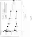 Fig. 06 - AMORPHOUS SOLID DISPERSIONS OF DASATINIB AND USES THEREOF