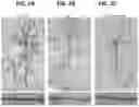 Fig. 03 - COMPOSITIONS AND METHODS RELATING TO USE OF AGONISTS OF ALPHA5-CONTAINING GABAA RECEPTORS