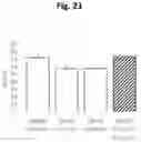 Fig. 33 - COMPOSITIONS AND METHODS RELATING TO USE OF AGONISTS OF ALPHA5-CONTAINING GABAA RECEPTORS