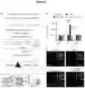 Fig. 04 - METHODS FOR TREATING CHEMORESISTANT CANCER-INITIATING CELLS
