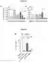 Fig. 09 - METHODS FOR TREATING CHEMORESISTANT CANCER-INITIATING CELLS