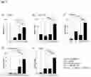Fig. 03 - Compositions comprising nicotinamide riboside and a urolithin