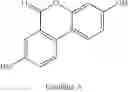 Fig. 05 - Compositions comprising nicotinamide riboside and a urolithin