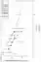Fig. 21 - ORAL FORMULATIONS OF CYTIDINE ANALOGS AND METHODS OF USE THEREOF