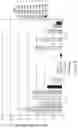 Fig. 24 - ORAL FORMULATIONS OF CYTIDINE ANALOGS AND METHODS OF USE THEREOF