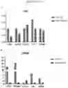 Fig. 20 - METHODS FOR TARGETED TREATMENT AND PREDICTION OF PATIENT SURVIVAL IN CANCER
