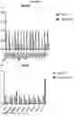 Fig. 23 - METHODS FOR TARGETED TREATMENT AND PREDICTION OF PATIENT SURVIVAL IN CANCER