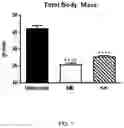 Fig. 02 - METHODS FOR PROVIDING THE BENEFITS OF METHIONINE RESTRICTION WITHOUT DIETARY RESTRICTION