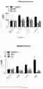 Fig. 04 - METHODS FOR PROVIDING THE BENEFITS OF METHIONINE RESTRICTION WITHOUT DIETARY RESTRICTION