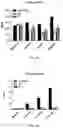 Fig. 05 - METHODS FOR PROVIDING THE BENEFITS OF METHIONINE RESTRICTION WITHOUT DIETARY RESTRICTION
