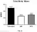 Fig. 06 - METHODS FOR PROVIDING THE BENEFITS OF METHIONINE RESTRICTION WITHOUT DIETARY RESTRICTION