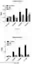 Fig. 09 - METHODS FOR PROVIDING THE BENEFITS OF METHIONINE RESTRICTION WITHOUT DIETARY RESTRICTION
