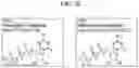 Fig. 33 - TUMOR INFILTRATING LYMPHOCYTES AND METHODS OF THERAPY