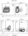 Fig. 49 - TUMOR INFILTRATING LYMPHOCYTES AND METHODS OF THERAPY