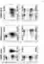 Fig. 10 - Modified cell and use thereof in gene and cell therapy