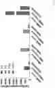 Fig. 12 - Modified cell and use thereof in gene and cell therapy