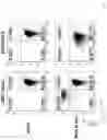 Fig. 13 - Modified cell and use thereof in gene and cell therapy