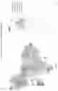 Fig. 21 - Modified cell and use thereof in gene and cell therapy