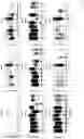 Fig. 22 - Modified cell and use thereof in gene and cell therapy