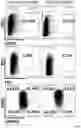 Fig. 38 - Modified cell and use thereof in gene and cell therapy