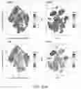 Fig. 29 - METHODS AND COMPOSITIONS FOR THE MODULATION OF OPIOID SIGNALING IN THE TUMOR MICROENVIRONMENT