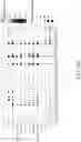 Fig. 40 - METHODS AND COMPOSITIONS FOR THE MODULATION OF OPIOID SIGNALING IN THE TUMOR MICROENVIRONMENT