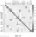 Fig. 43 - METHODS AND COMPOSITIONS FOR THE MODULATION OF OPIOID SIGNALING IN THE TUMOR MICROENVIRONMENT